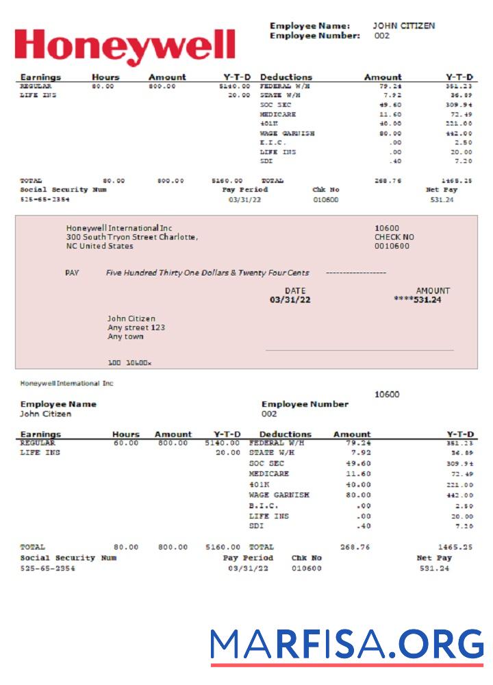 Realistic USA Honeywell conglomerate company pay stub PSD example